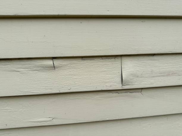 Best Engineered Wood Siding  in Level Park Oak Park, MI